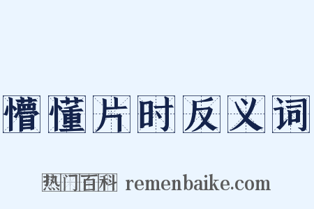 懵懂片时反义词是什么意思的图片